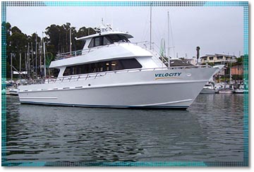 The NEW Velocity sport fishing boat, Stagnaro Sport Fishing, Charters and Whale Watching Cruises, Santa Cruz and Monterey Bay, California (CA)