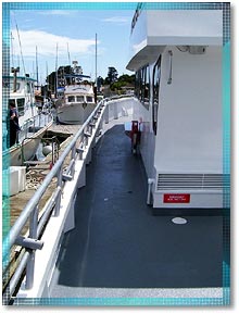 The walk-around deck on The NEW Velocity. Stagnaro Sport Fishing, Charters and Whale Watching Cruises, Santa Cruz and Monterey Bay, California (CA)